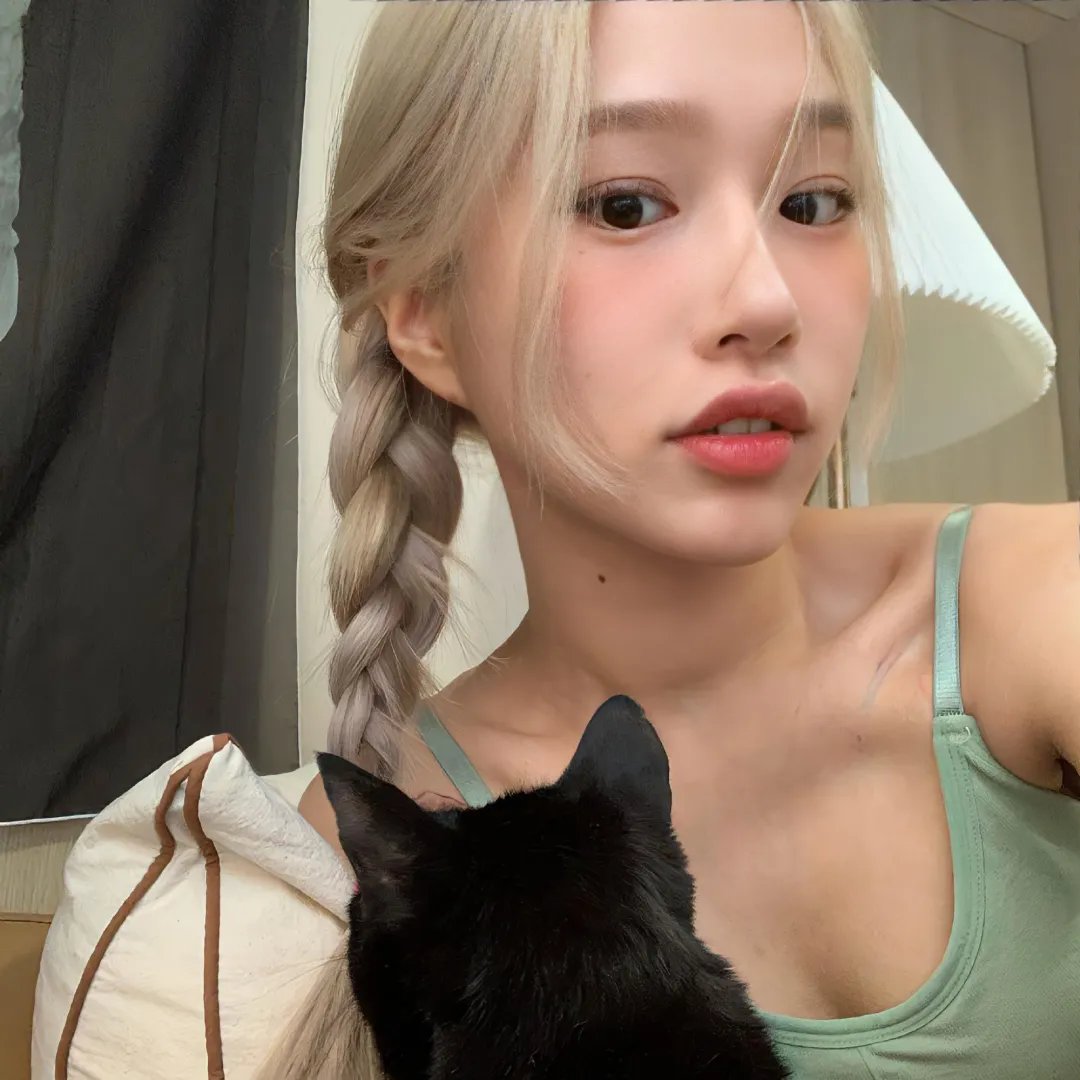 金牌贱猫:重新出击